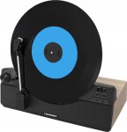 Blaupunkt VT100BK