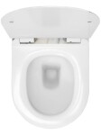 REA - Závesná WC misa vrátane sedátka Granit Shiny REA-C8002