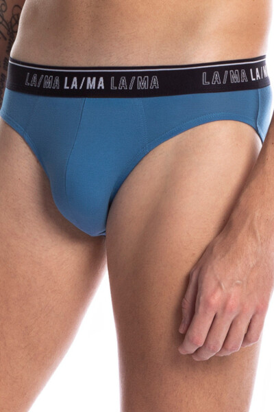 Pánské slipy STANDARD model 18249682 3PACK směs barev XL - Lama