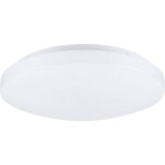 Paulmann 71059 stropné svetlo E27 biela; 71059