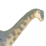 Safari Ltd. Safari Ltd. Figúrka - Camarasaurus