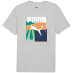 Pánske športové tričko Puma Graphics Summer II 627909 04