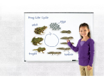 Learning Resources Learning Resources Magnetický životný cyklus - Žaba