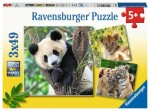 Ravensburger Panda, tiger lev dielikov