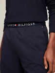 Pánske šortky JERSEY SHORT UM0UM03080DW5 Tommy Hilfiger