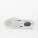 Tenisky Nike Air Zoom Pegasus 41 White/ White-Pure Platinum-Mtlc Silver EUR 43