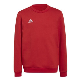 Detská mikina Entrada 22 Sweat Jr Adidas