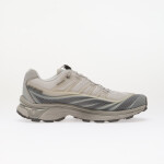 Tenisky Salomon XT-Evo Alloy/ Castlerock/ Ftw Silver EUR 43 1/3