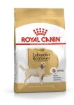 Royal Canin Dog Adult Labrador