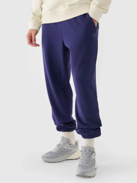 Pánske tepláky 4F XXL