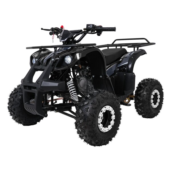 Mamido Detská benzínová štvorkolka RamiGO WILDPEAK 110CC čierna