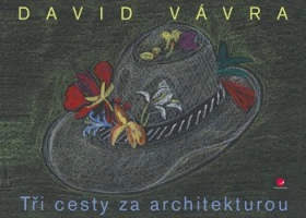 Tři cesty za architekturou, Vávra David