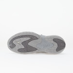 Tenisky Jordan W Pointe Metallic Silver/ Photon Dust-Smoke Grey EUR 42