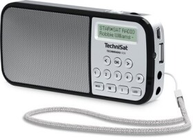 TechniSat Techniradio RDR strieborná V057F99Q