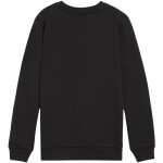 Mikina Puma Team Goal Casuals Neck Sweatshirt Jr 658593 03 128 cm