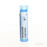 HAMAMELIS VIRGINIANA CH9 1x4 g