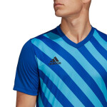 Pánsky dres Entrada 22 Graphic Jersey Adidas