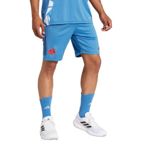 Pánske šortky adidas France Gym blue JC7182 L