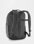 Patagonia Atom Day Pack 24L Berry Fig