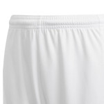 Juniorské šortky Squadra 21 GN5766 White and Black - Adidas 164 bílá-černá