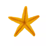 Safari Ltd. Safari Ltd. Oranžová hviezdica