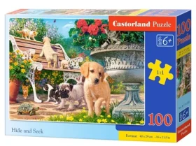 Castorland 111220 Hra na schovávačku