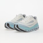 Tenisky On M Cloudflow 5 Ad Hail/ White EUR 41