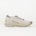 Tenisky Nike Pegasus Trail 5 Gore-Tex Summit White/ College Grey-Light Bone EUR 42
