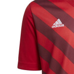 Detský dres Entrada 22 Graphic Jersey Jr. Adidas cm