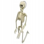 Verk Ľudská kostra skelet 40 cm halloween dekorácie