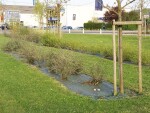 Rozložiteľná ekotextília zo 100% biomasy (s prírodnými vláknami) – Agrotex EKO+  - 157 g/m² 2×50 m [100 m²]