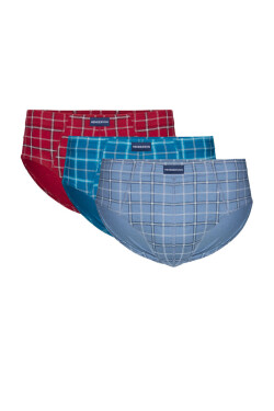KLASICKÉ SPODNÉ NOHAVIČKY 3 KS 1446 K703 AW26 BLUE-BORDO L