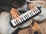 Mamido Hudobný nástroj Melodika Klávesová harmonika puzdro dva náustky IN0175