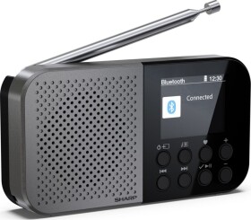 Sharp Sharp DR-P520 DAB+/BT/USB C/integrated Battery radio black