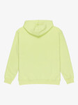 Pánska mikina s kapucňou QuikSilver Big Logo M
