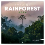 NOTIQUE Poznámkový kalendár Dažďové pralesy 2026 - Východné / 30 x 30 cm (PGP-35471-V)