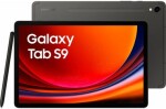 Samsung Galaxy Tab S9 WiFi 8GB/128GB Sivý SM-X710NZAAEUE