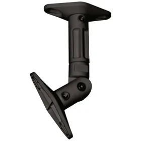 Neomounts SPEAKER-W100BLACK Stropný držiak pre reproduktor čierna / nosnosť 5kg / naklápanie +90 ° -90 ° (SPEAKER-W100BLACK)