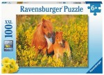 Ravensburger poník