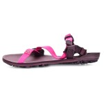 Xero shoes Z-trail EV Fuchsia Purple dámske barefoot sandále 38.5 EUR