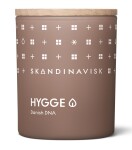 SKANDINAVISK Vonná sviečka HYGGE (útulno) 65 g