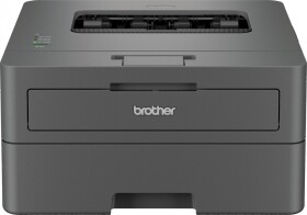 Brother HL-L2402D (HLL2402DYJ1)