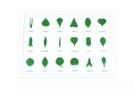 Moyo Montessori Moyo Montessori Tvary listov (karta)