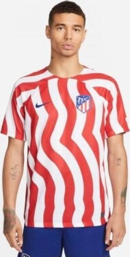 Nike Atletico Madrid DF Stadium Home DM1838 101 Tee (109424)