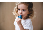 PlanToys PlanToys Píšťalka - delfín