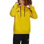 Pánska mikina Entrada 22 Hoody M HI2140 - Adidas 3XL