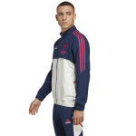 Pánska bunda Arsenal London Pro HT4442 Adidas