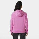 Helly Hansen Core Graphic Hoodie W 54239 089 S