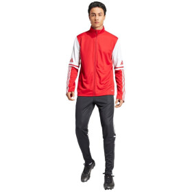 Mikina adidas Squadra 25 Training M JD2979 men M