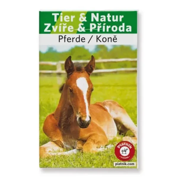 Piatnik Kvarteto Kone